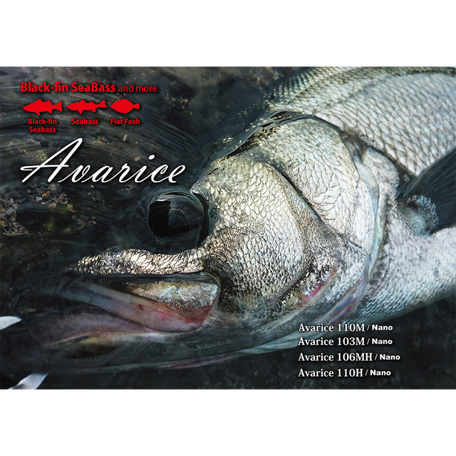 Avarice 103M Nano サーフキャスティング・釣果報告 | リップル