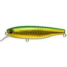 K-太 77 SUSPEND | SaltManWebShop