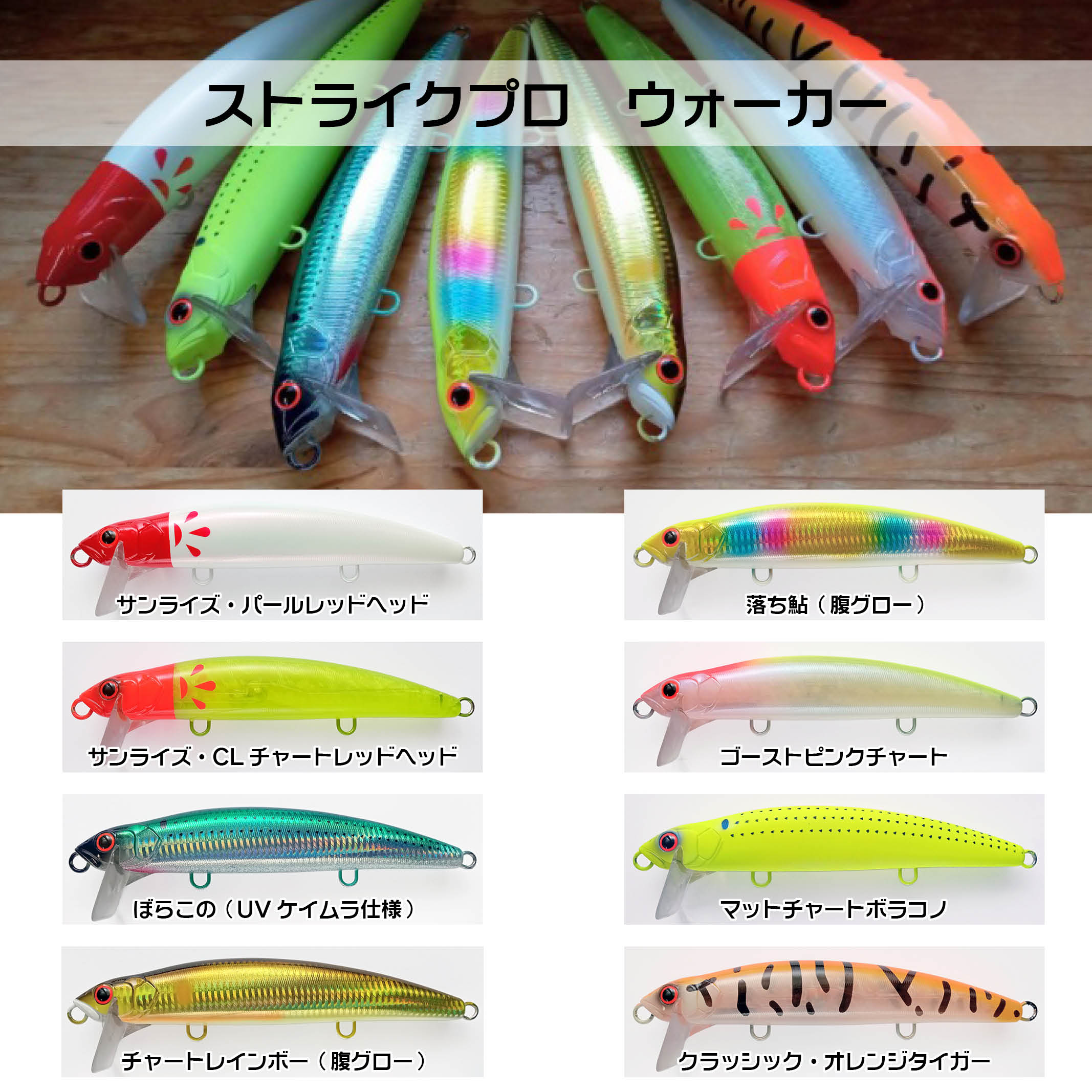 シーバス、ビックベイト、コノシロパターン、ボラパターン、大型ベイト