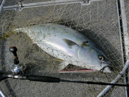 A*i様 【青物、キハダ】ルアーセット 5点 蛍光 海釣り スロージグセット 真鯛 キジハタ 青物ルアー ルアー