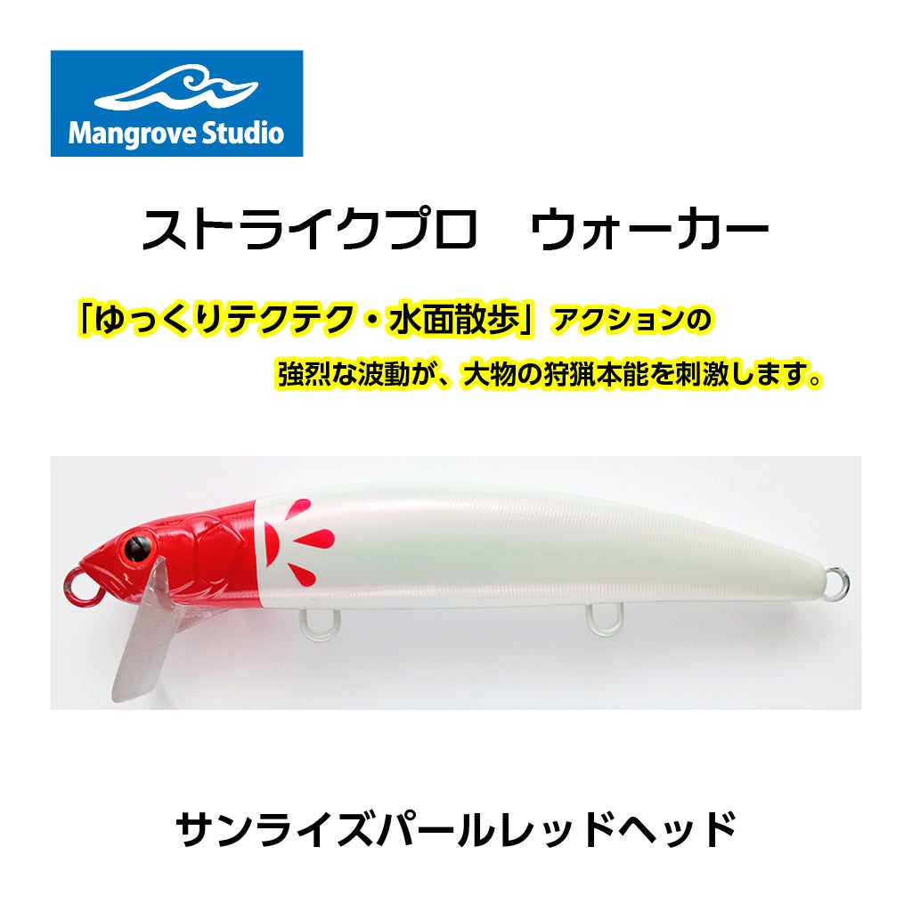 シーバス、ビックベイト、コノシロパターン、ボラパターン、大型ベイト